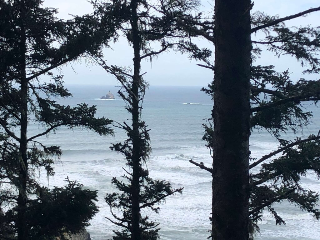Cannon Beach vs Seaside Oregon - ecola trail near Cannon Beach Oregon